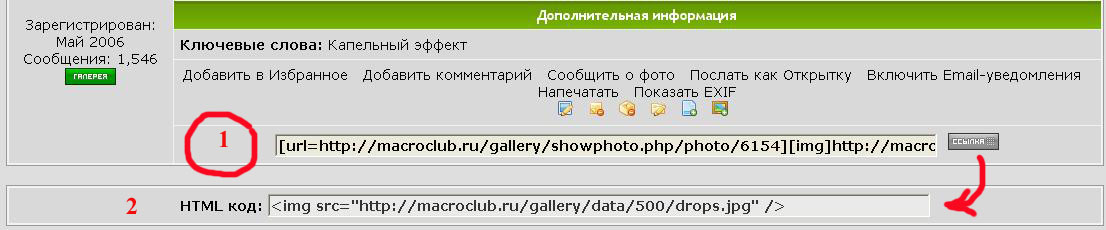 links