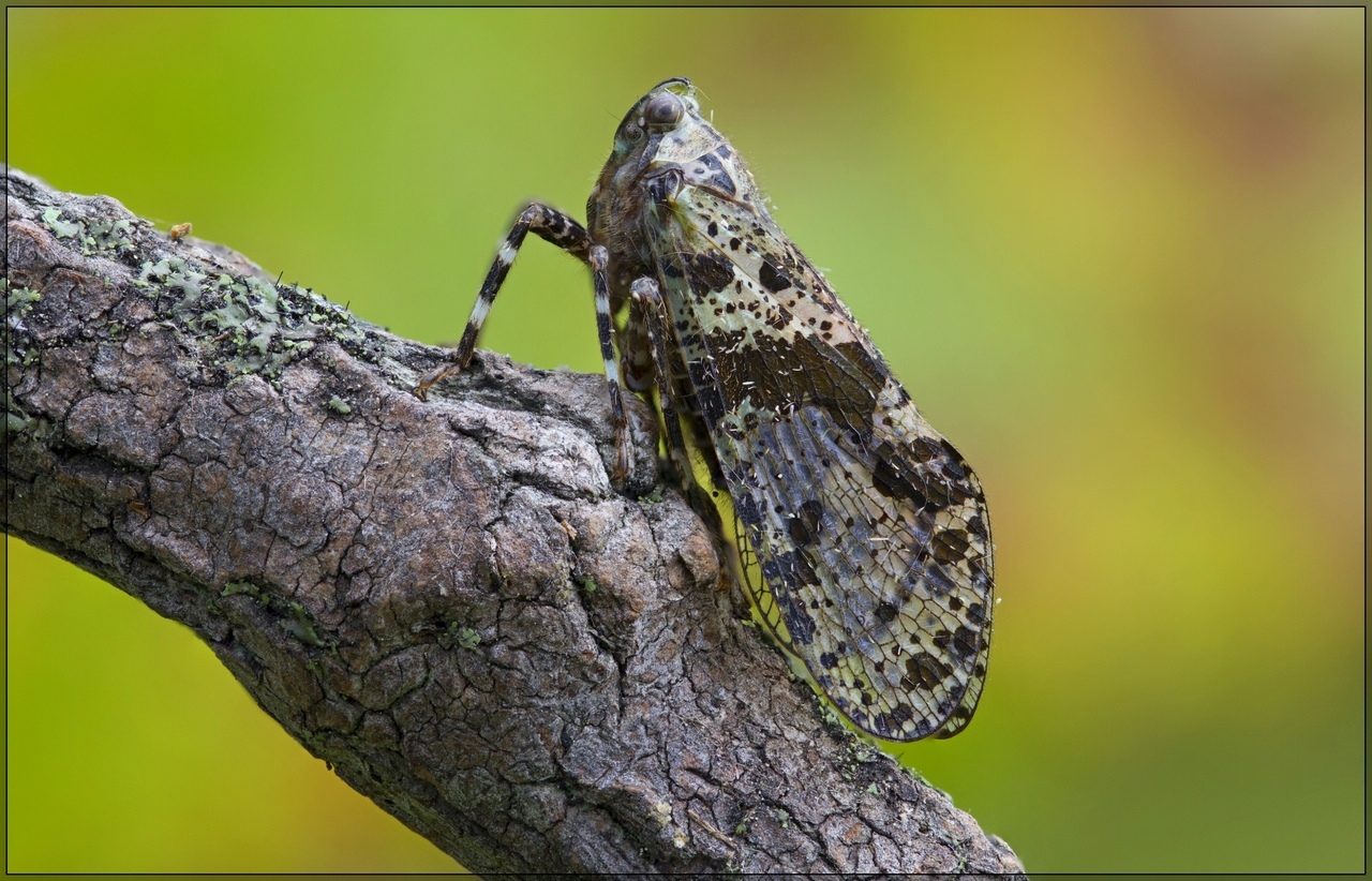 2015-09-12_22-03-05_M_A_R_8_S_4