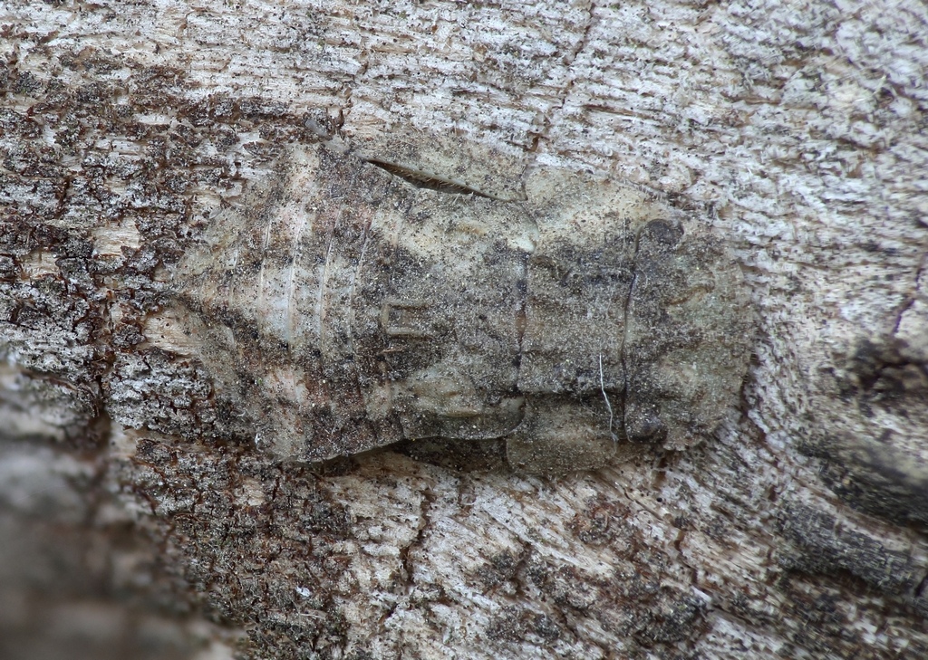 2016-05-22_23-05-57_M_C_R_8_S_4