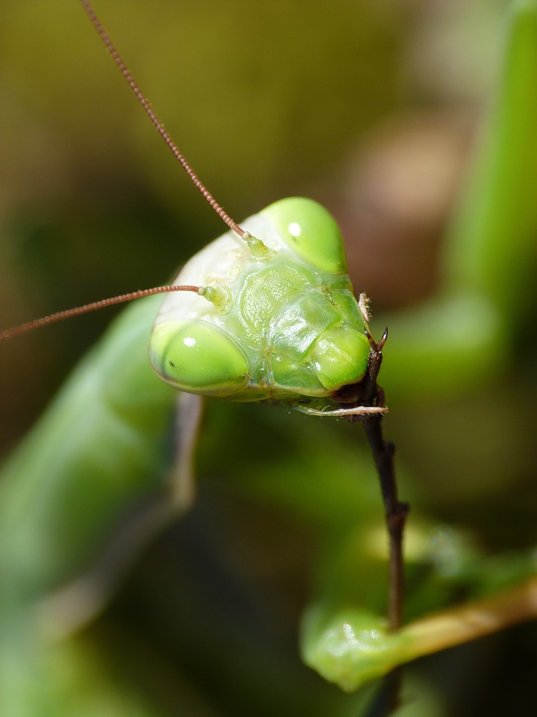 0_6544e_7abcb6dc_XXL1