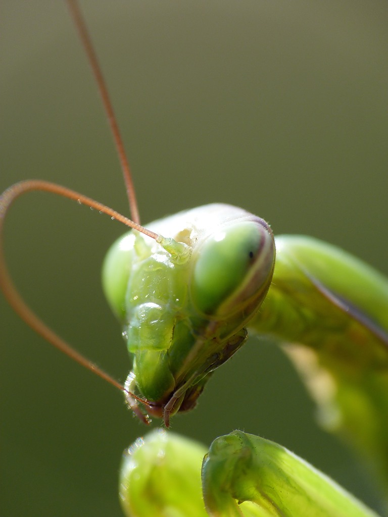 0_65459_6fec435d_XXL1