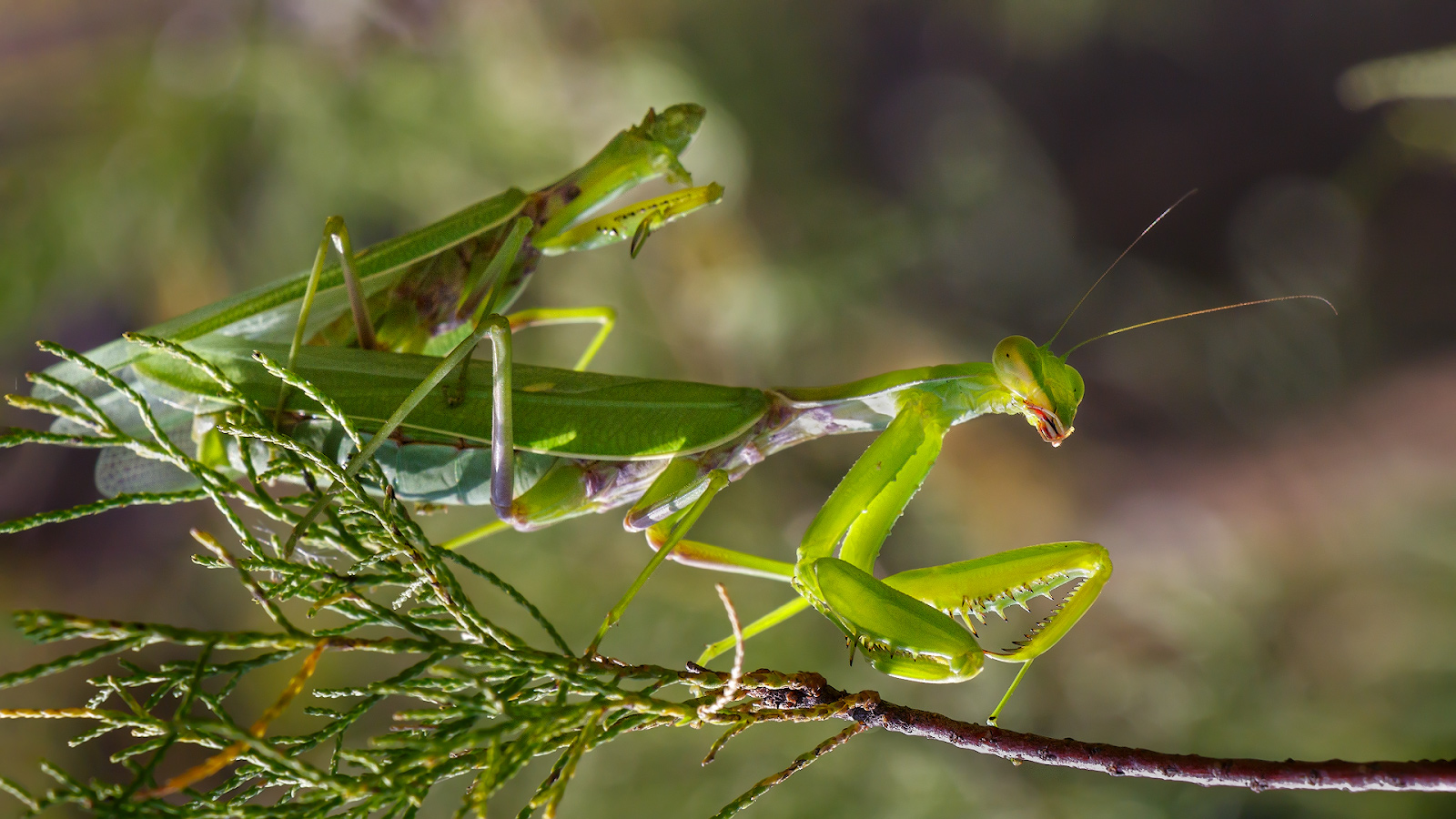 2020_09_20_16-00-06_00167