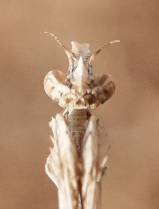 DSC03918c