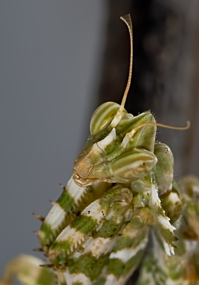 DSC_1860_FMWW