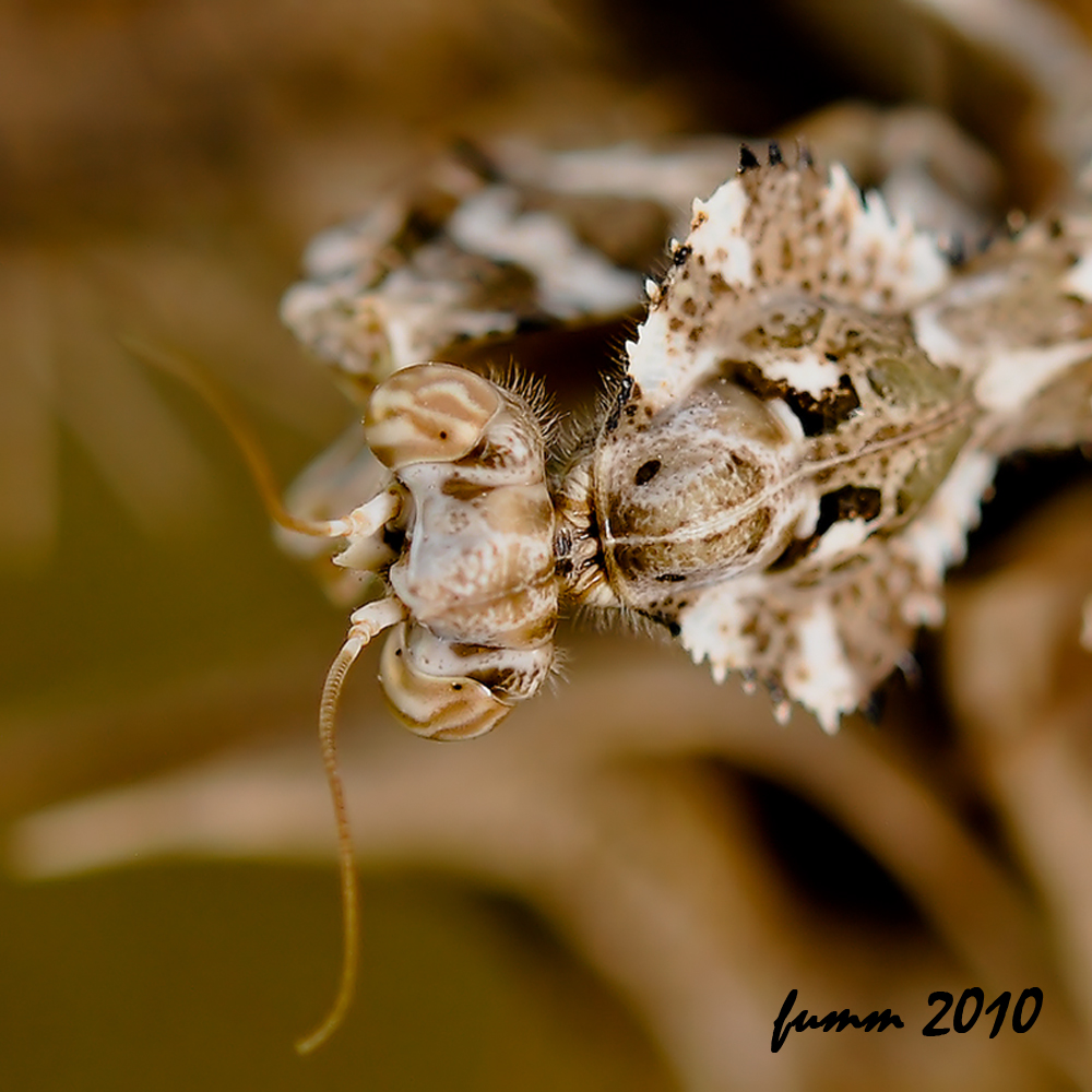 DSC_6976_FMWW