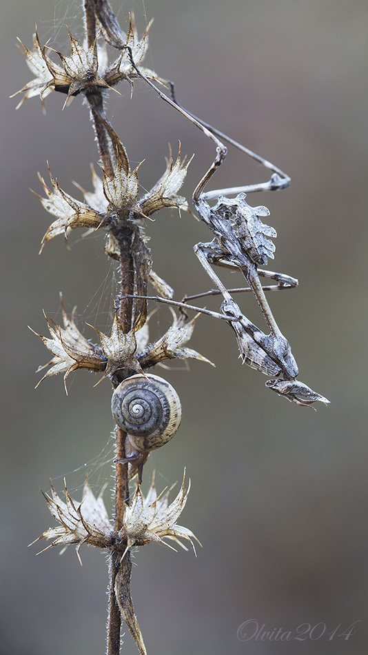 Utro_vverh_tormashkami