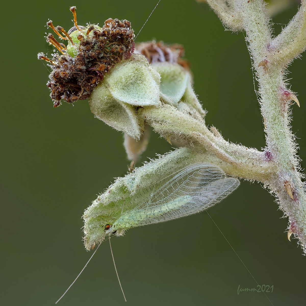 2021-09-08-22_25_12_ZS27_FMMW