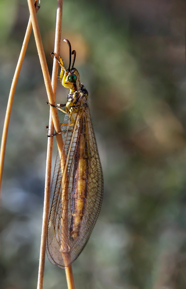 2021_08_16_09-13-06_00198