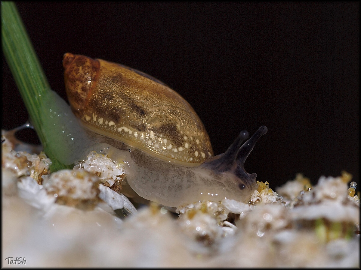 2013-08-17_06-59-34_11