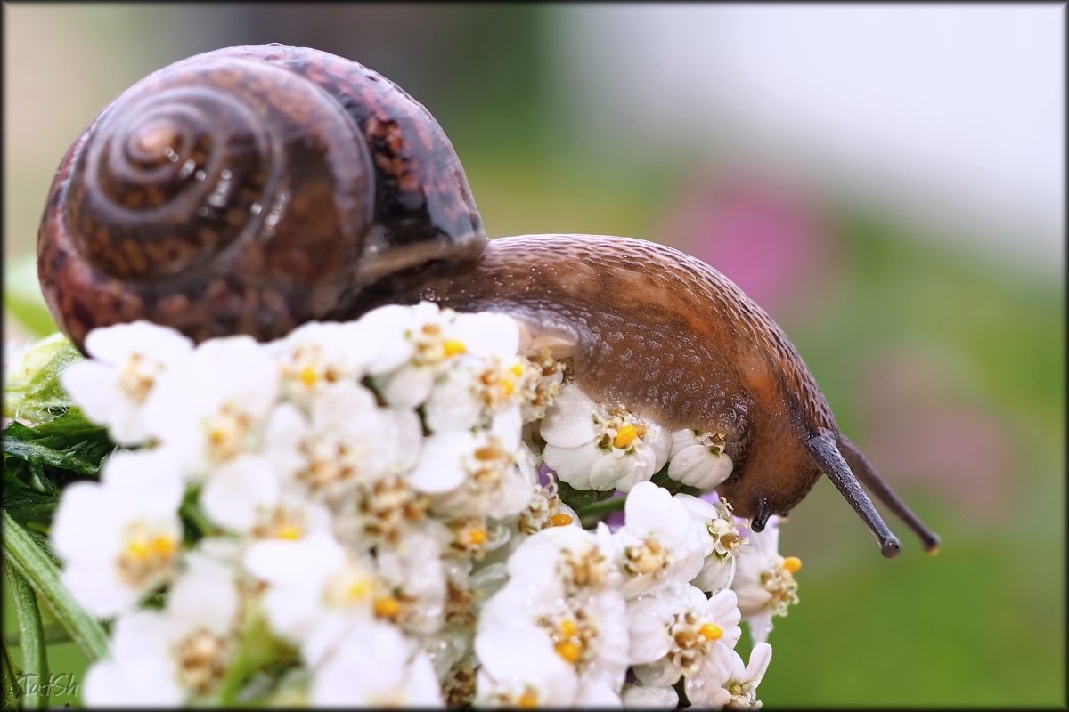 2015-06-27_13-58-24_