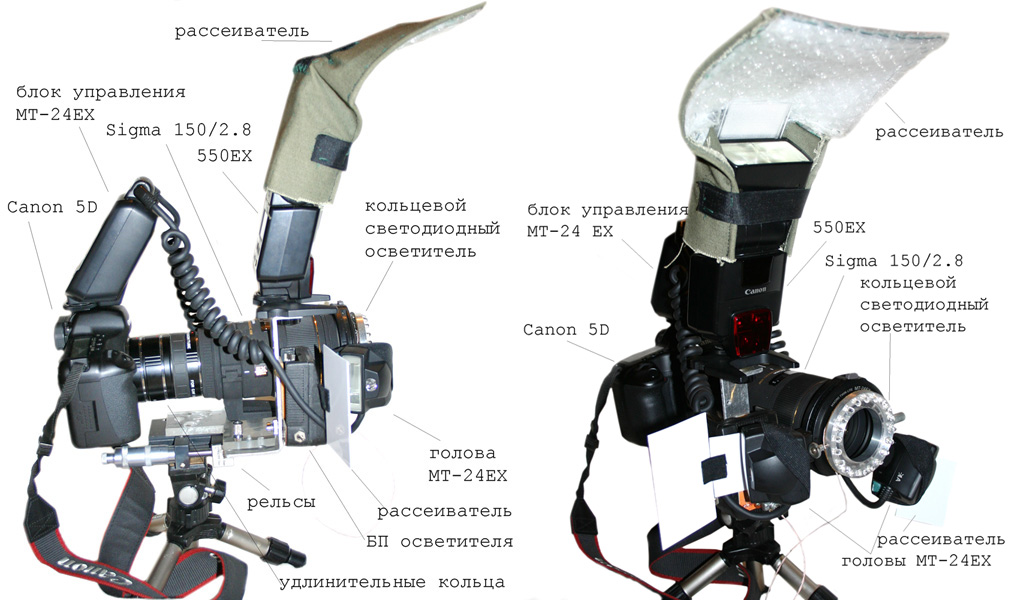 camera_2009_a2_small