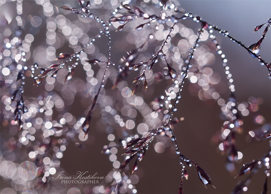 16_07_15_IMG_5094_900_644_297_