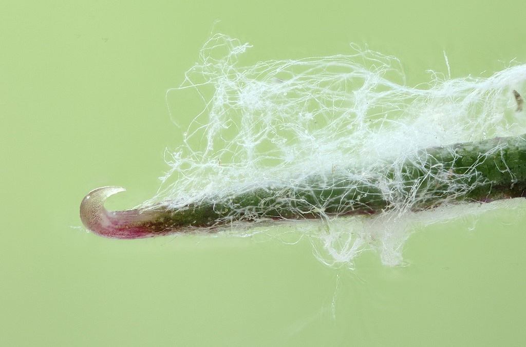 2013-06-23-19_53_08_ZS_PMax