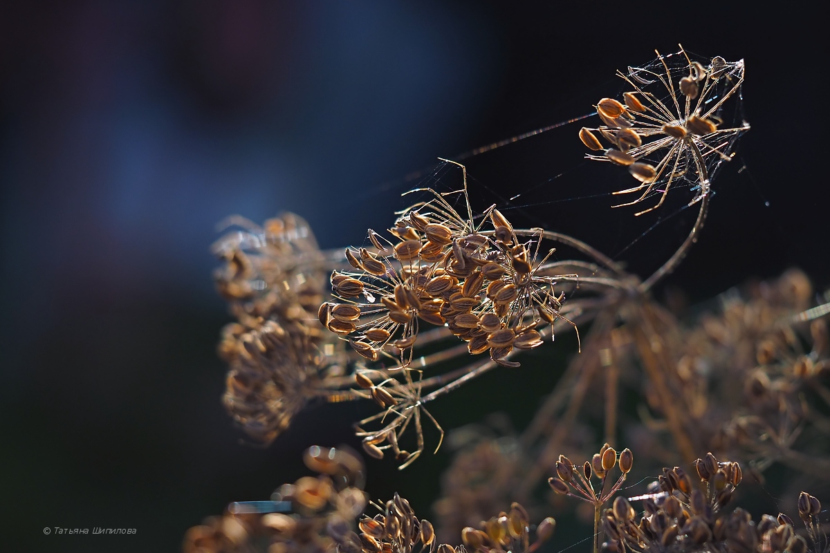 2017-10-22_15-31-01_2