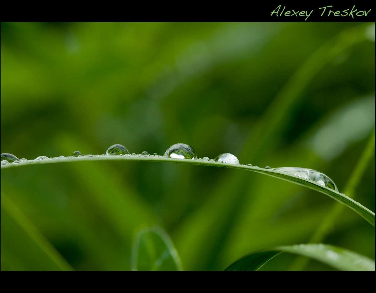 4A2E3319-Edit