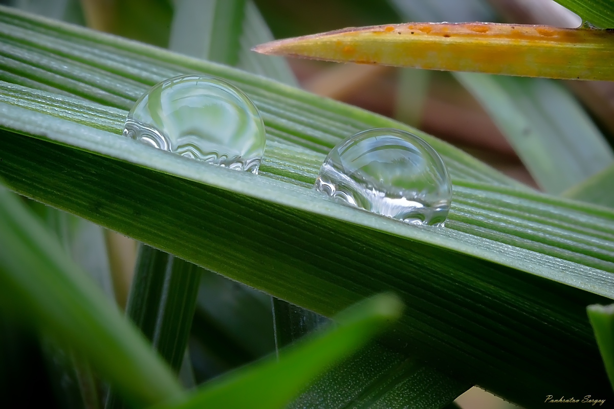 IMG_4416ps_sRGB2_small_