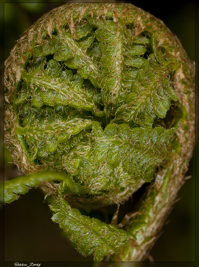 IMG_9097-9091-Stack-1