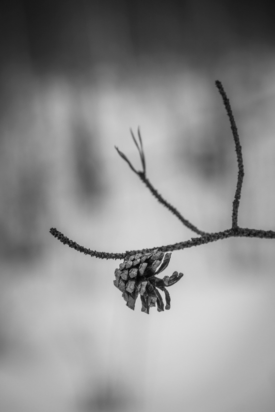 IMG_9246-2014-_--20141101--_-_--165_