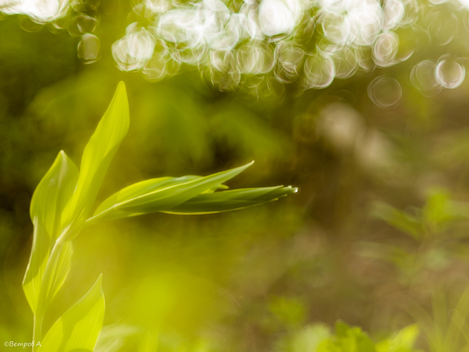 materializaciya_mysli-res