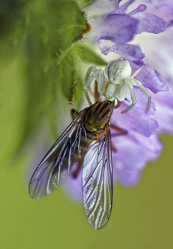 20090709_2009_1909-6_