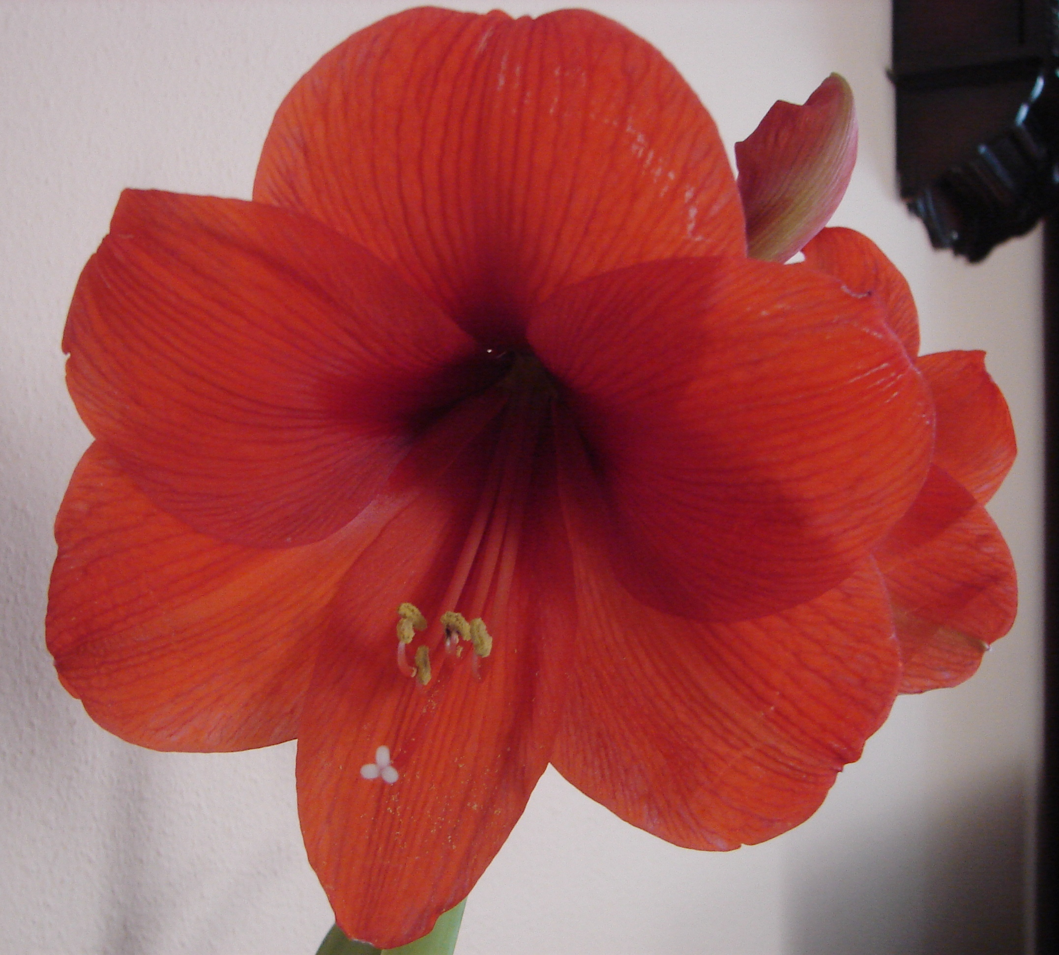 DSC01246