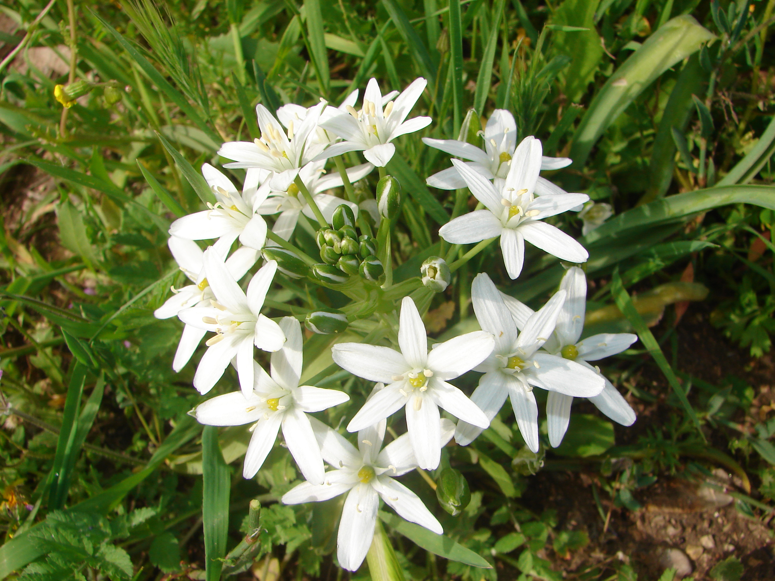 DSC01265