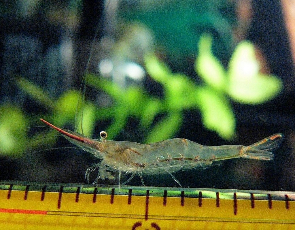 0_132e0_1e3e7170_orig