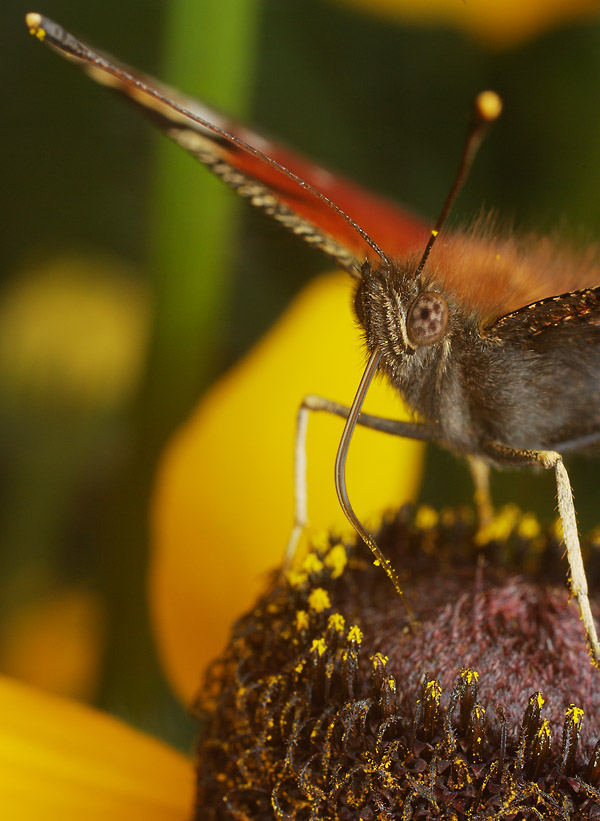 SG106537_Converted-11