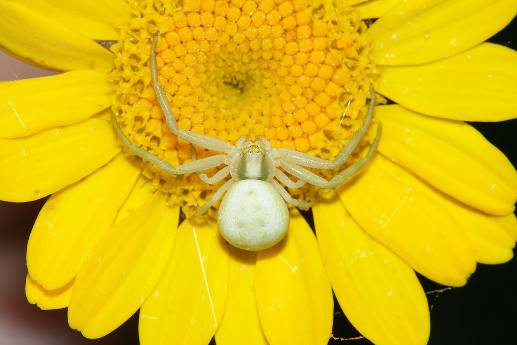 0_fea5_b0e9434c_orig