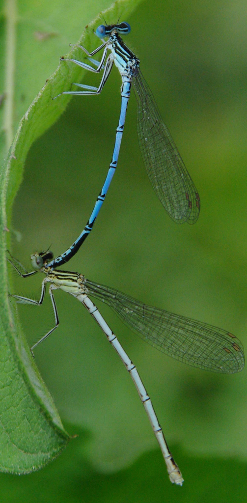 IMGP6635_sm