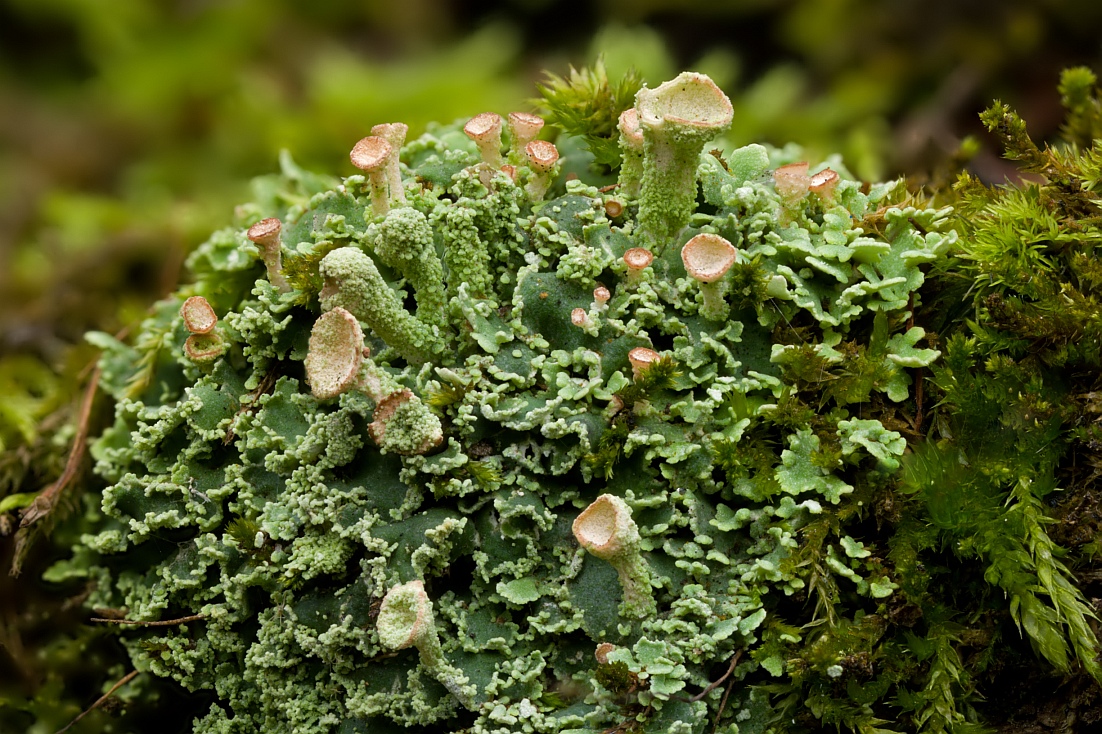 11-10-19_112348_M_A_R_8_S_4