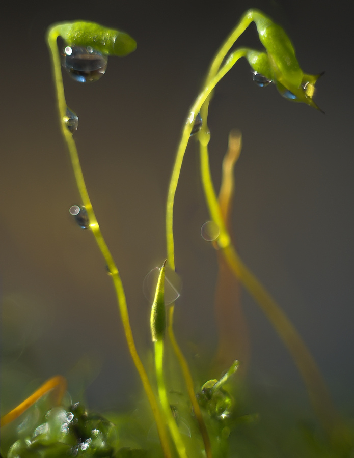 Resize_Wizard-17-900