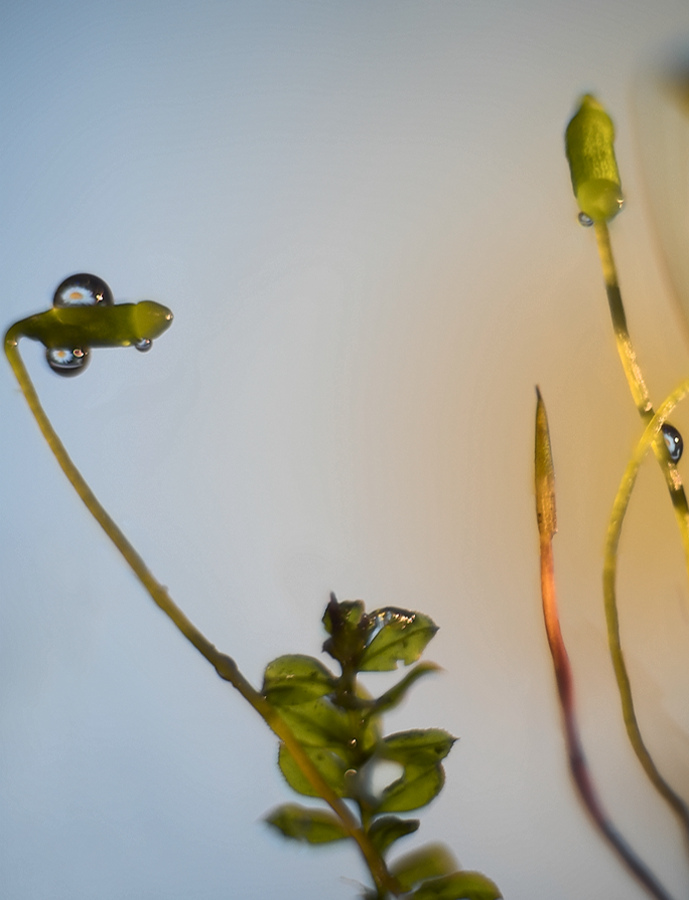 Resize_Wizard-18-900