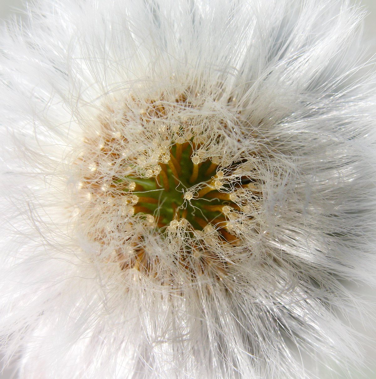 13087261_10204581318571249_6902310335649966106_o