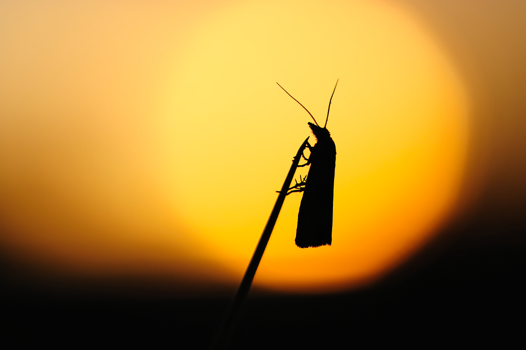 DSC_6980_1000_500_v2