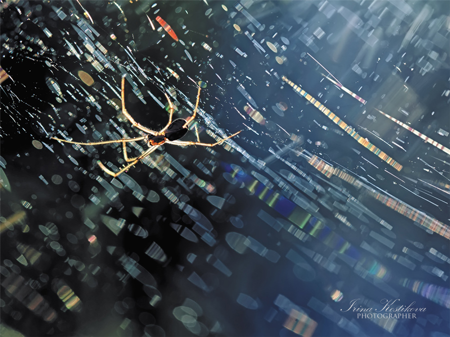 05_09_14_IMG_2940_900_675_293_