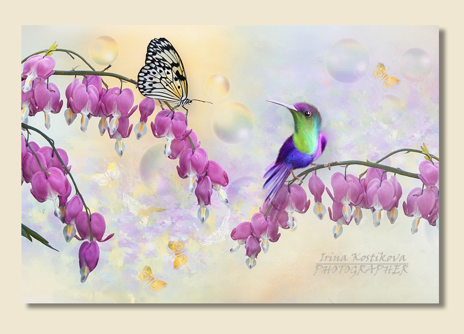 19_05_13_IMG_5222_4_04_16_298_