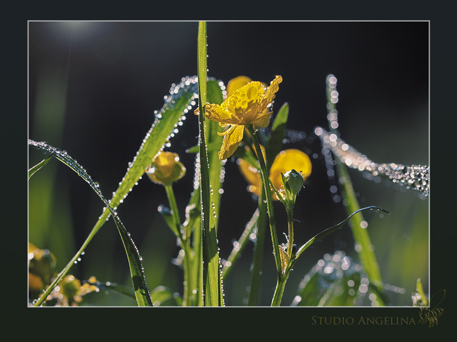 26_05_14_IMG_5087_900_675_292_