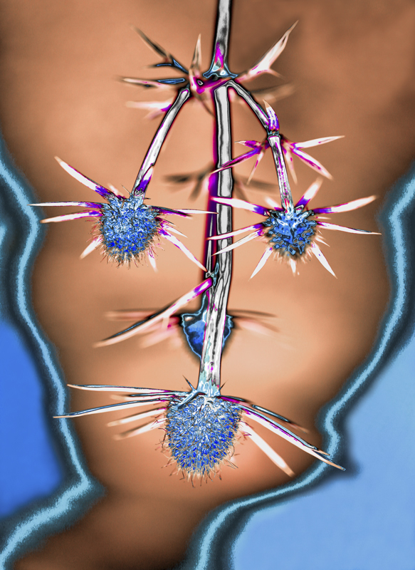 BU7A0477_6_1_13Juli2016_Alexander_Zelenko