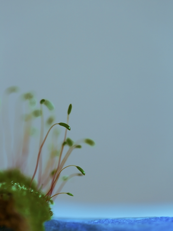 BU7A1074_15April2015_Alexander_Zelenko