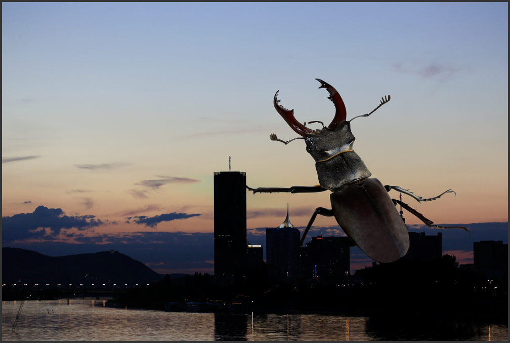 BU7A9762_29Juni2016_Alexander_Zelenko