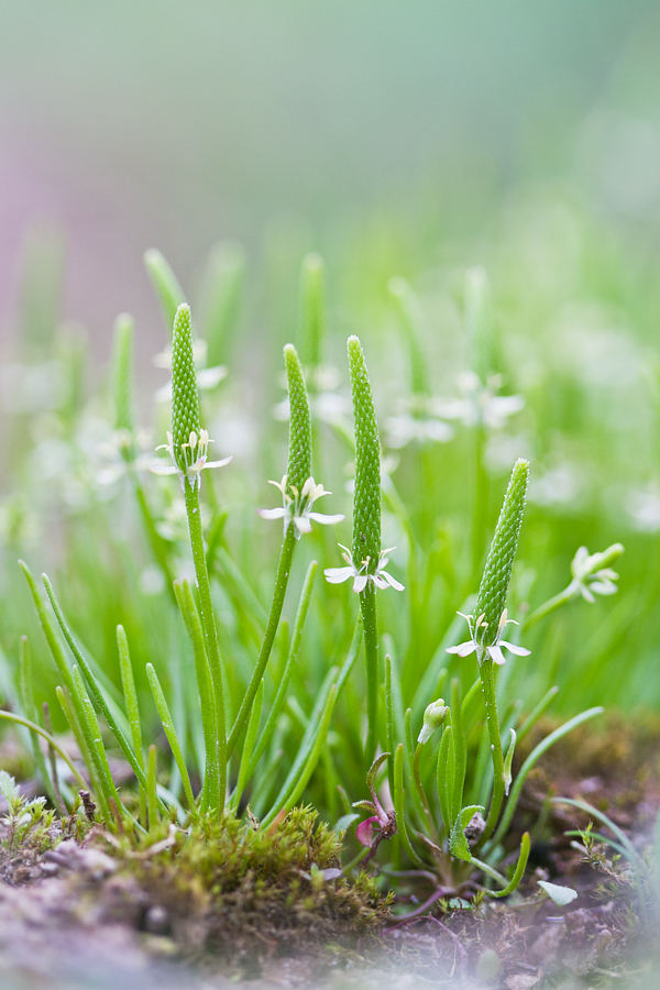 IMG_9649-2-Edit-Edit