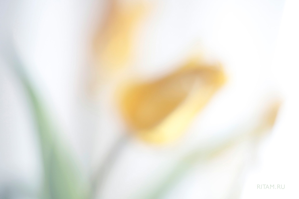 Solnechnoe_probujdenie_Vesny