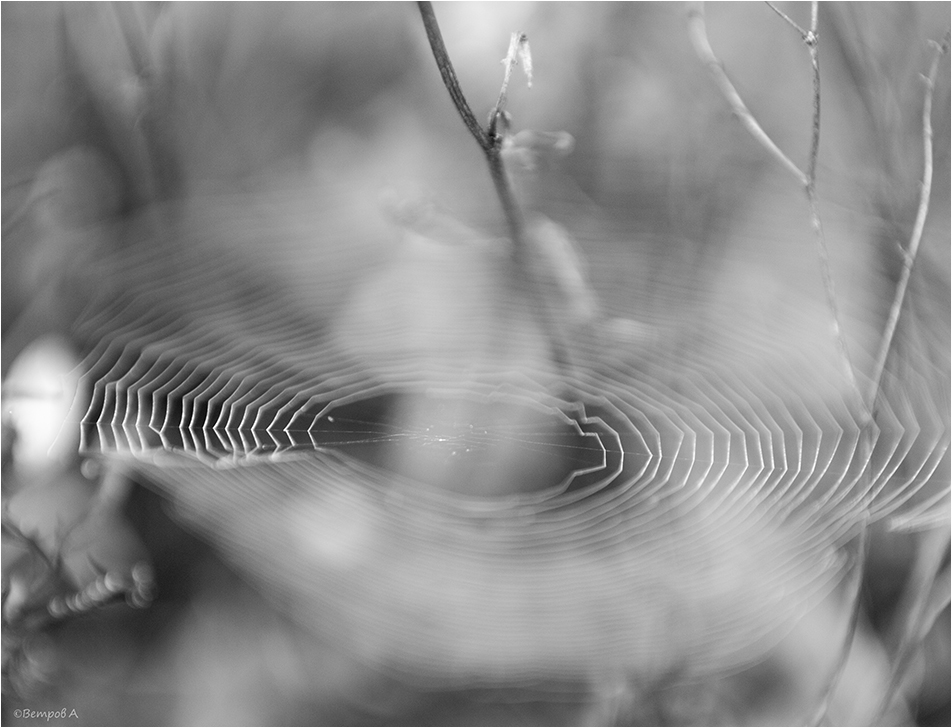 rasprostranenie_voln-res