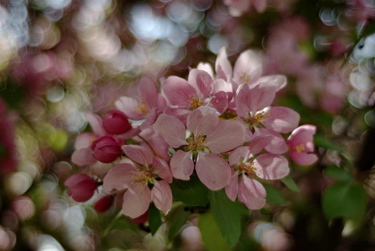 tmp_28087-_IGP1282zm1068662118