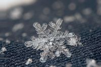 таяние снега весной.