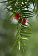 DSC_6423.jpg DSC_6423.jpg
