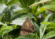 IMG_4704r.jpg