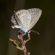 IMG_8673_r.jpg