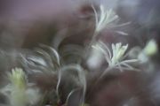 IMG_5808-3.jpg